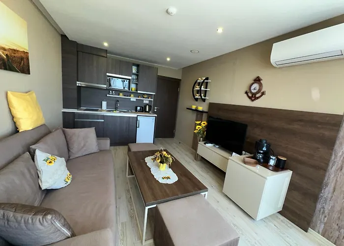 One Bedroom Private Paradiso B 501 *